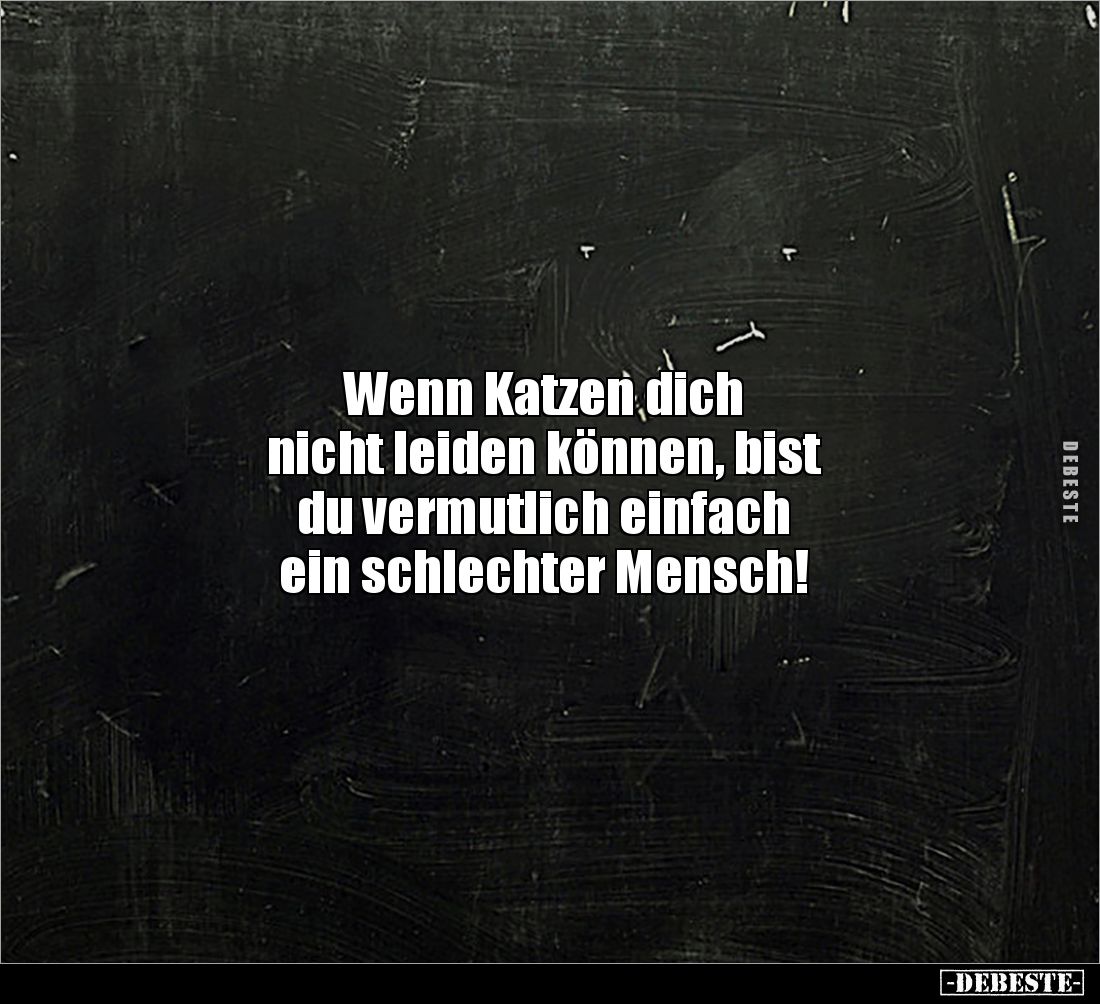 Wenn Katzen dich
nicht leiden können, bist 
du vermutlich einfach
ein schlechter Mensch!