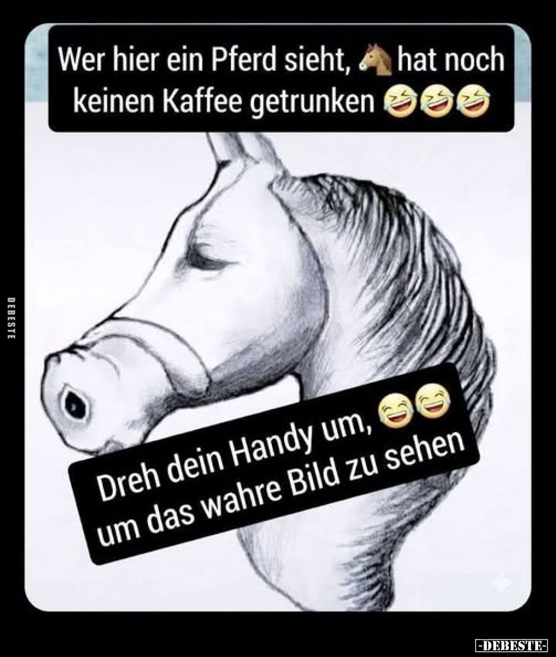 Wer hier ein Pferd sieht, hat noch keinen Kaffee getrunken.
Dreh dein Handy um, um das wahre Bild zu sehen.