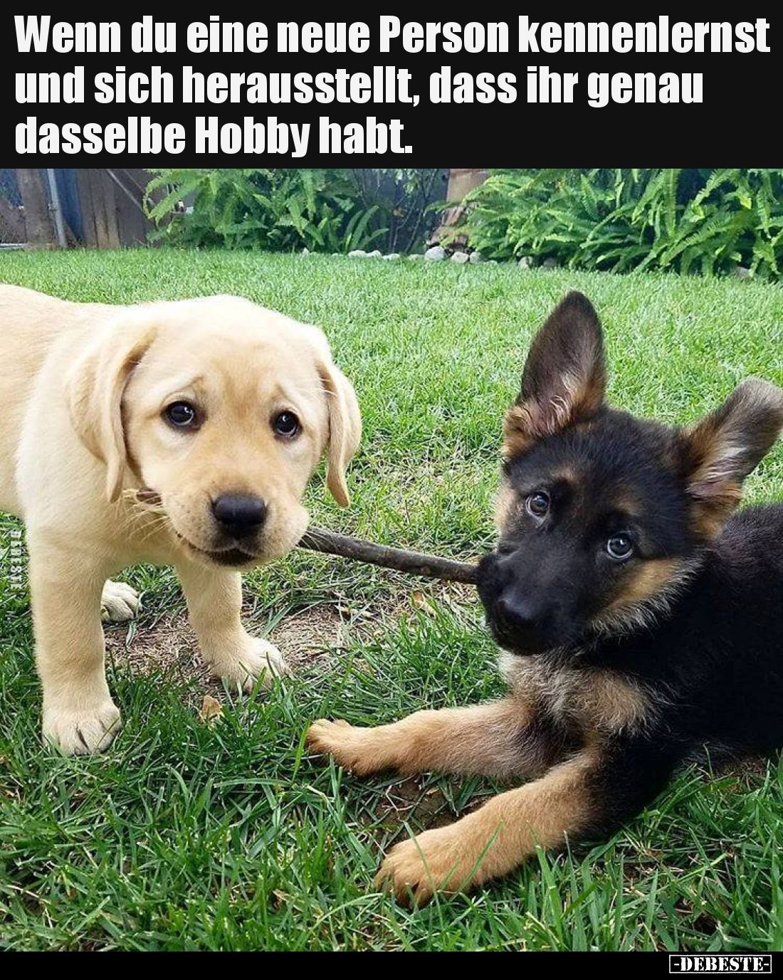 Wenn du eine neue Person kennenlernst und sich herausstellt, dass ihr genau dasselbe Hobby habt.