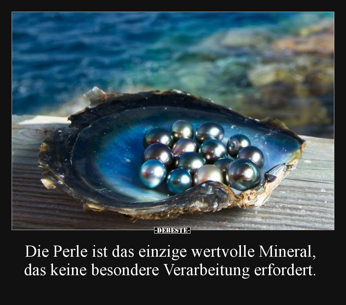 Die Perle ist das einzige wertvolle Mineral, das keine.. - Lustige Bilder | DEBESTE.de