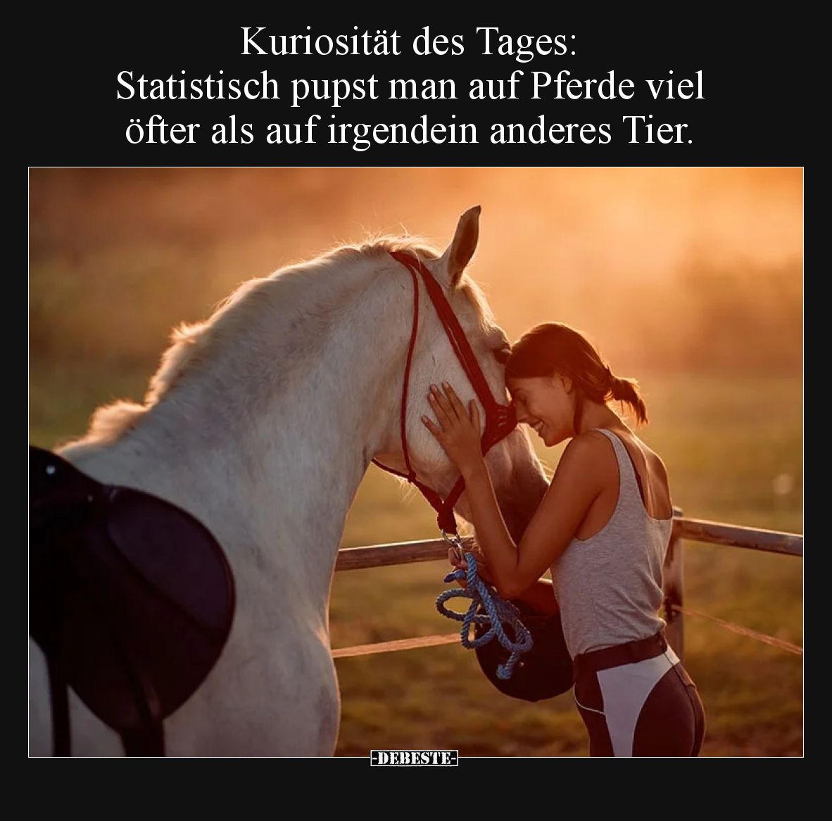 Kuriosität des Tages: Statistisch pupst man auf Pferde.. - Lustige Bilder | DEBESTE.de
