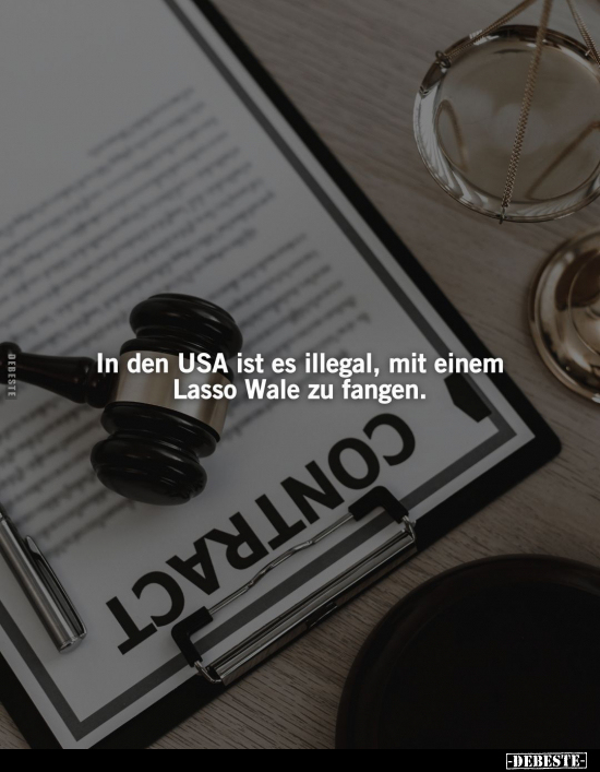 In den USA ist es illegal, mit einem Lasso.. - Lustige Bilder | DEBESTE.de