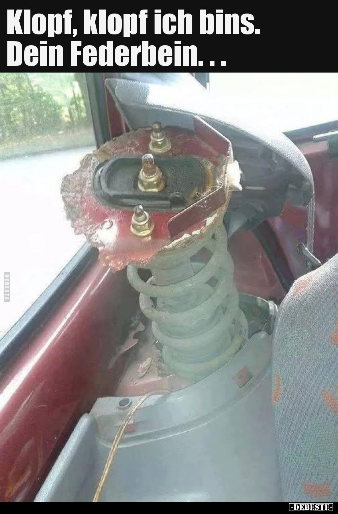 Klopf, klopf ich bins. Dein Federbein...