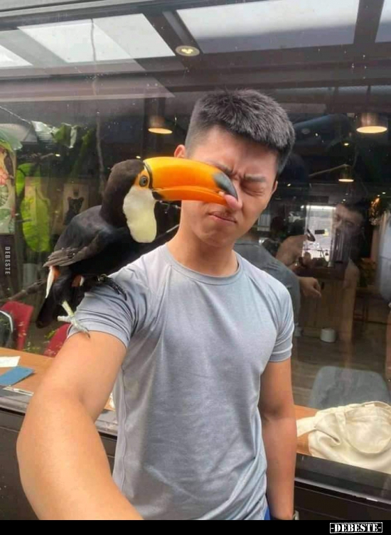  - Lustige Bilder | DEBESTE.de