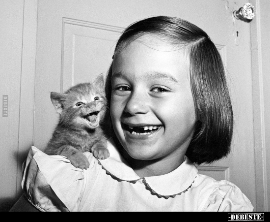  - Lustige Bilder | DEBESTE.de