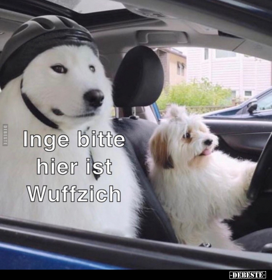 Inge bitte hier ist Wuffzich