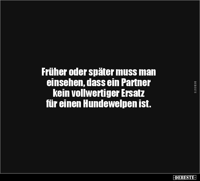 Früher oder später muss man einsehen, dass ein Partner.. - Lustige Bilder | DEBESTE.de