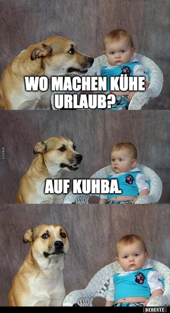 Wo machen Kühe Urlaub?..