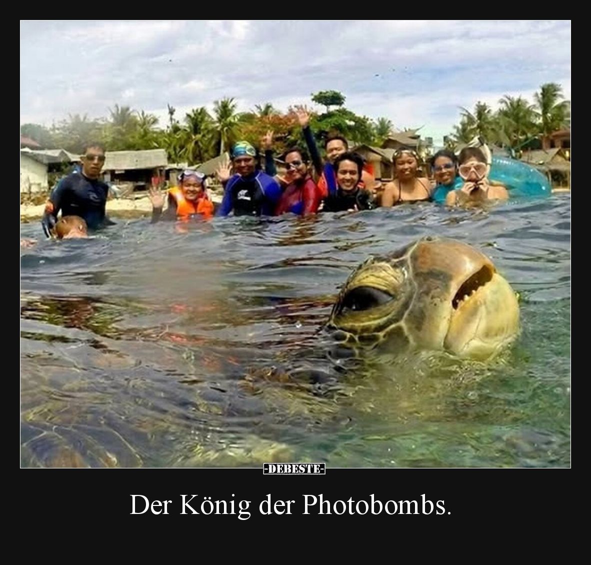 Der König der Photobombs.