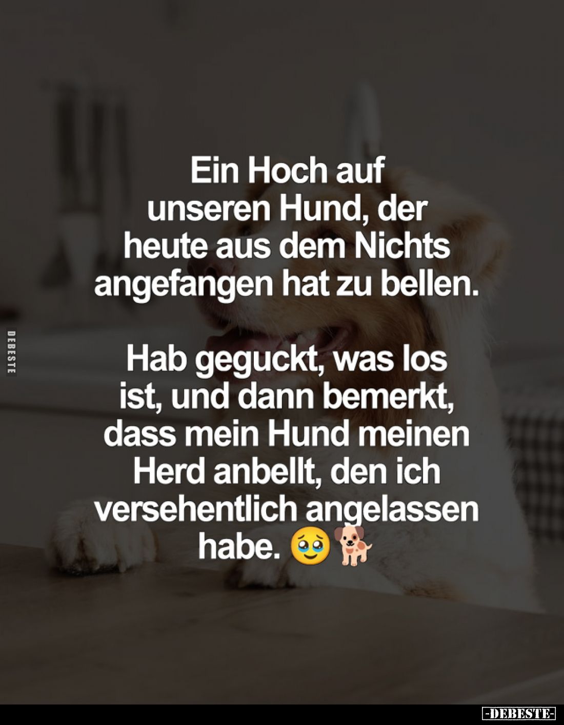 Ein Hoch auf unseren Hund, der heute aus dem Nichts angefangen hat zu bellen.
Hab geguckt, was los ist, und dann bemerkt, da...