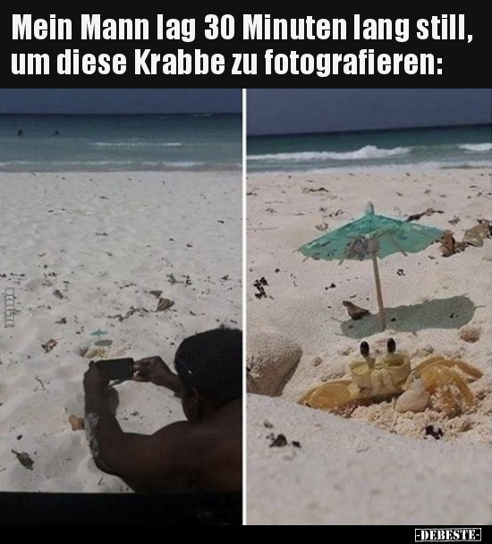 Mein Mann lag 30 Minuten lang still, um diese Krabbe zu.. - Lustige Bilder | DEBESTE.de