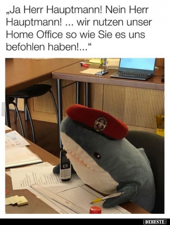 "Ja Herr Hauptmann! Nein Herr Hauptmann!.."