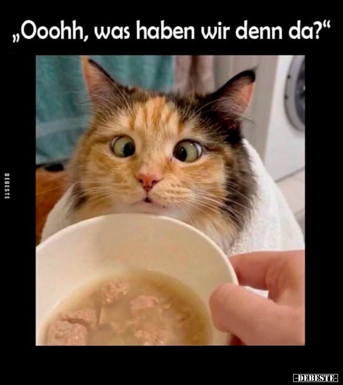 "Ooohh, was haben wir denn da?"