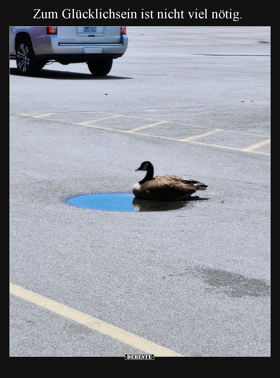 Zum Glücklichsein ist nicht viel nötig.