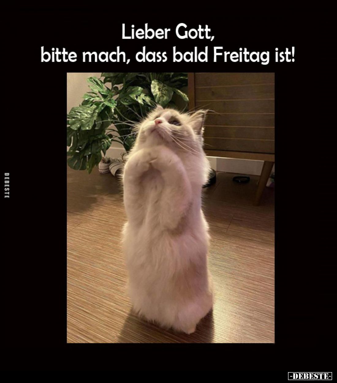 Lieber Gott, bitte mach, dass bald Freitag ist!