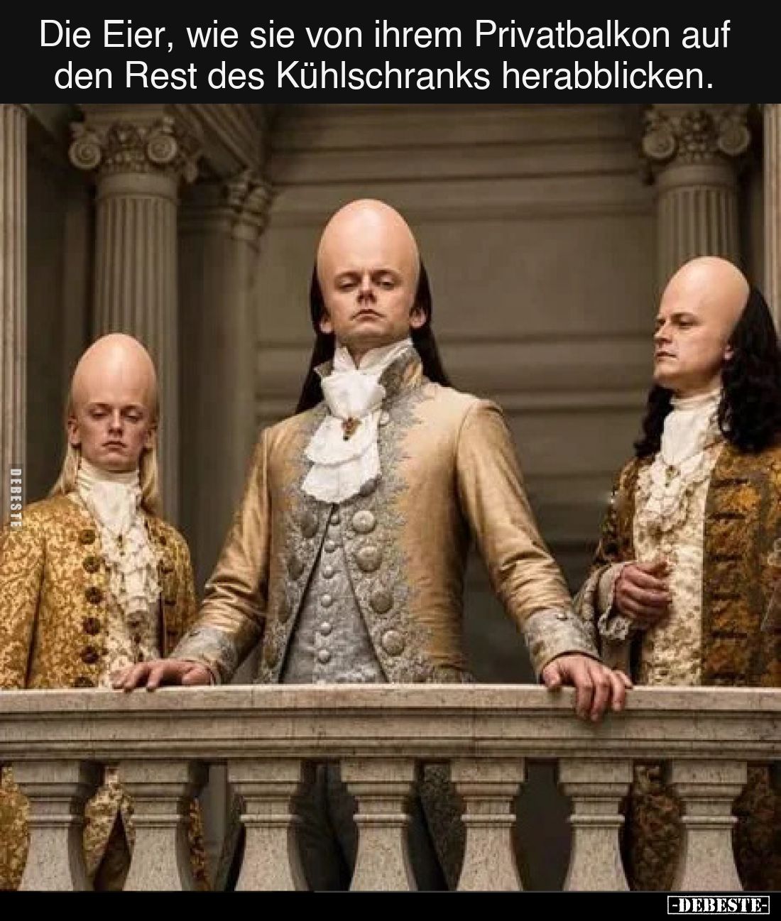 Die Eier, wie sie von ihrem Privatbalkon auf den Rest des Kühlschranks herabblicken.