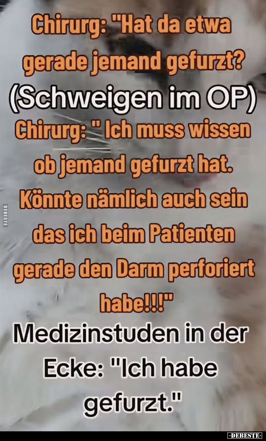 Chirurg: "Hat da etwa gerade jemand gefurzt?
(Schweigen im OP) Chirurg: "Ich muss wissen ob jemand gefurzt hat.
K...