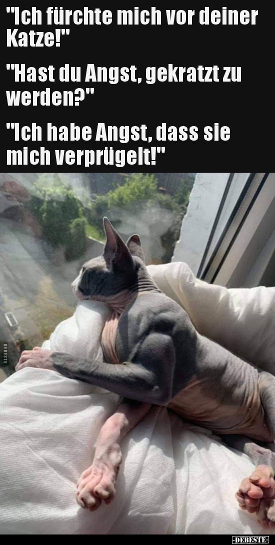 "Ich fürchte mich vor deiner Katze!"...