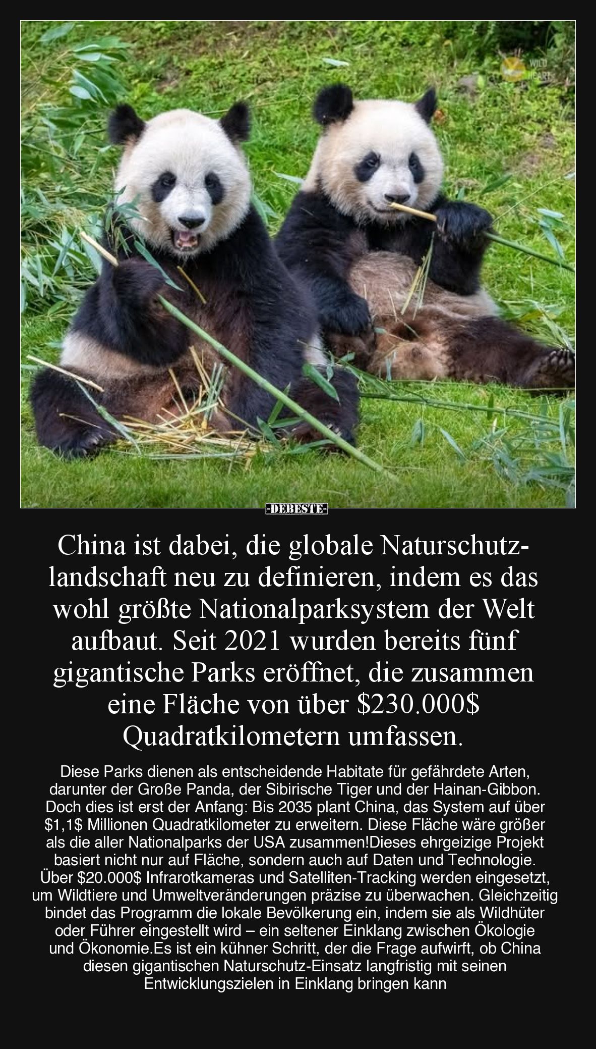 China ist dabei, die globale Naturschutzlandschaft neu zu definieren, indem es das wohl größte Nationalparksystem der Welt au...