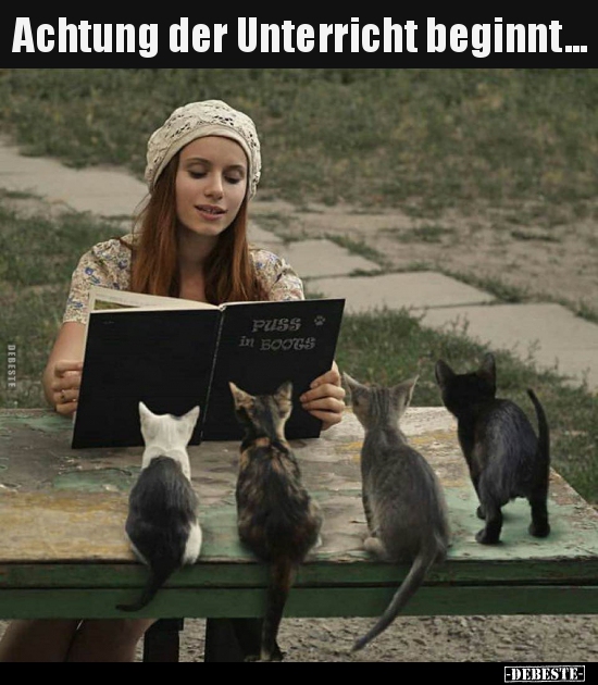 Achtung der Unterricht beginnt...