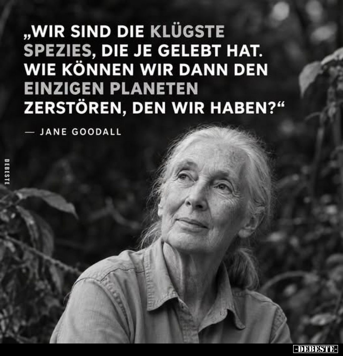 „Wir sind die klügste Spezies, die je gelebt hat. Wie können wir dann den einzigen Planeten zerstören, den wir haben?"
...