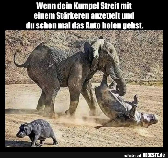 Wenn dein Kumpel Streit mit einem Stärkeren anzettelt und.. - Lustige Bilder | DEBESTE.de