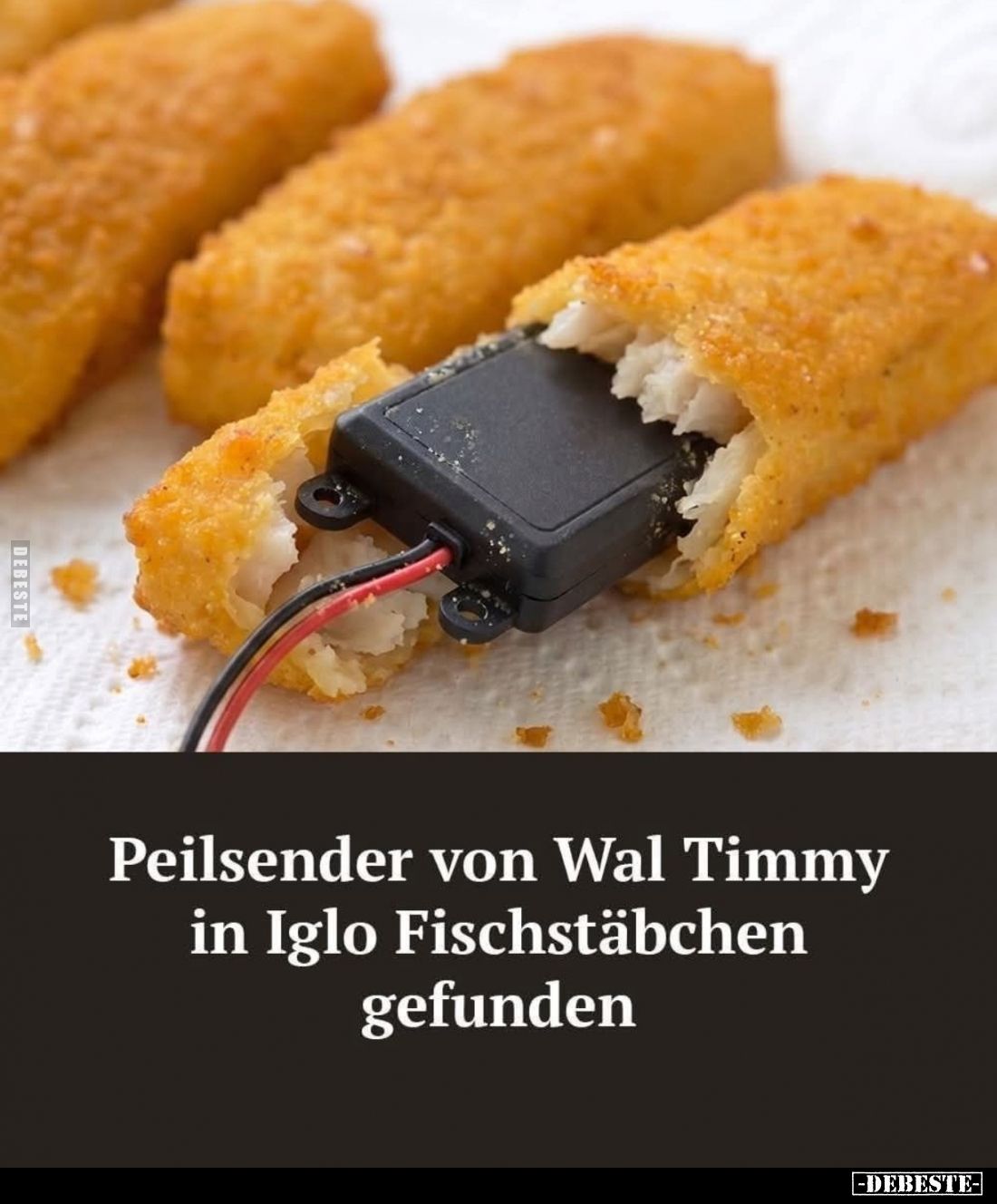 Peilsender von Wal Timmy in Iglo Fischstäbchen gefunden.