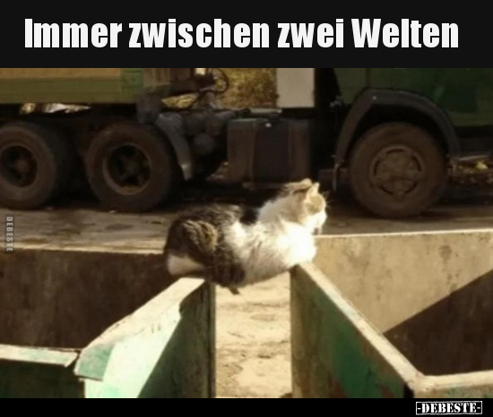 Immer zwischen zwei Welten.. - Lustige Bilder | DEBESTE.de