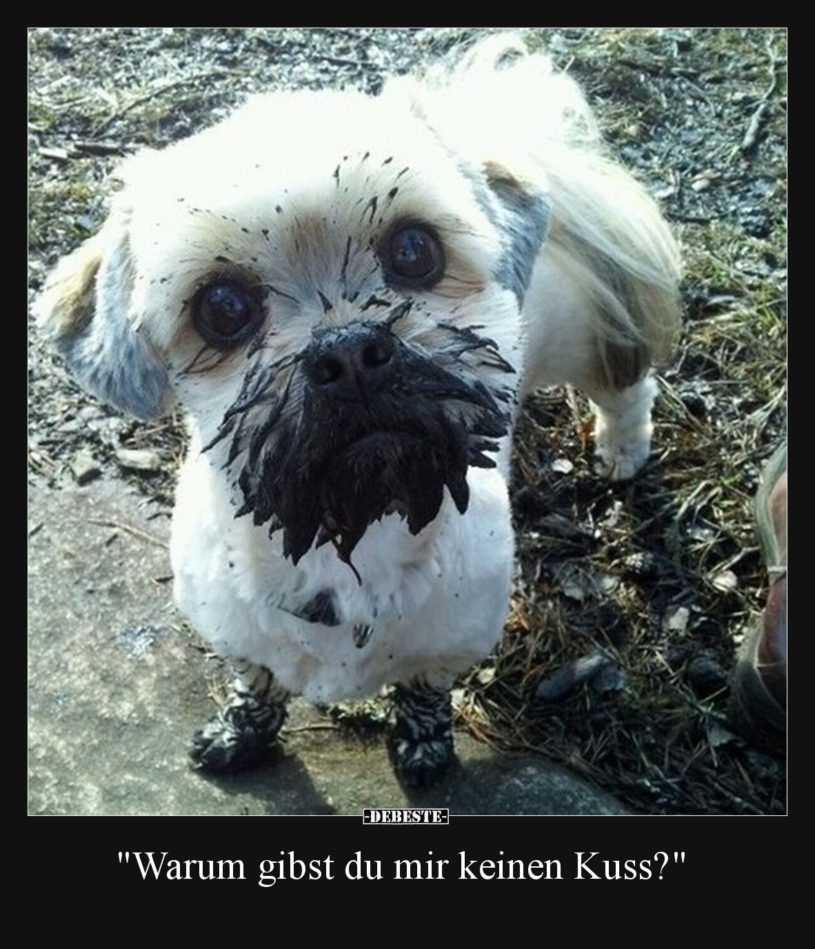 "Warum gibst du mir keinen Kuss?".. - Lustige Bilder | DEBESTE.de