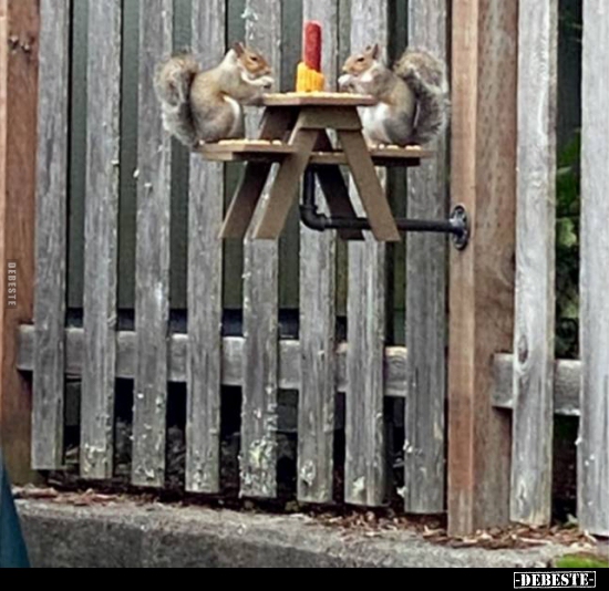  - Lustige Bilder | DEBESTE.de