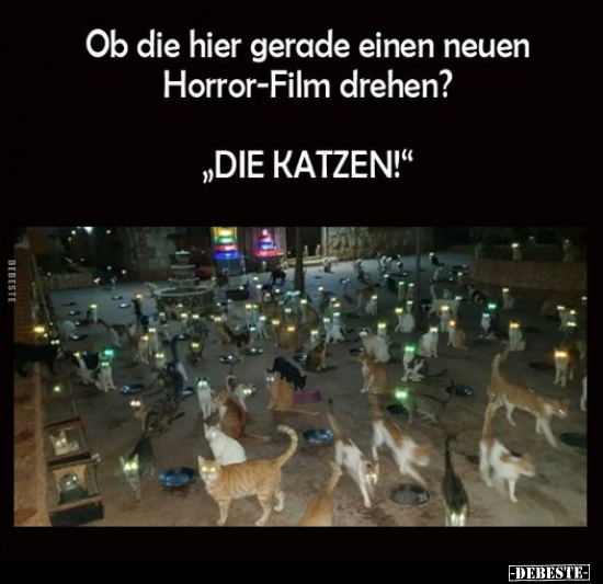 Ob die hier gerade einen neuen Horror-Film drehen?.. - Lustige Bilder | DEBESTE.de