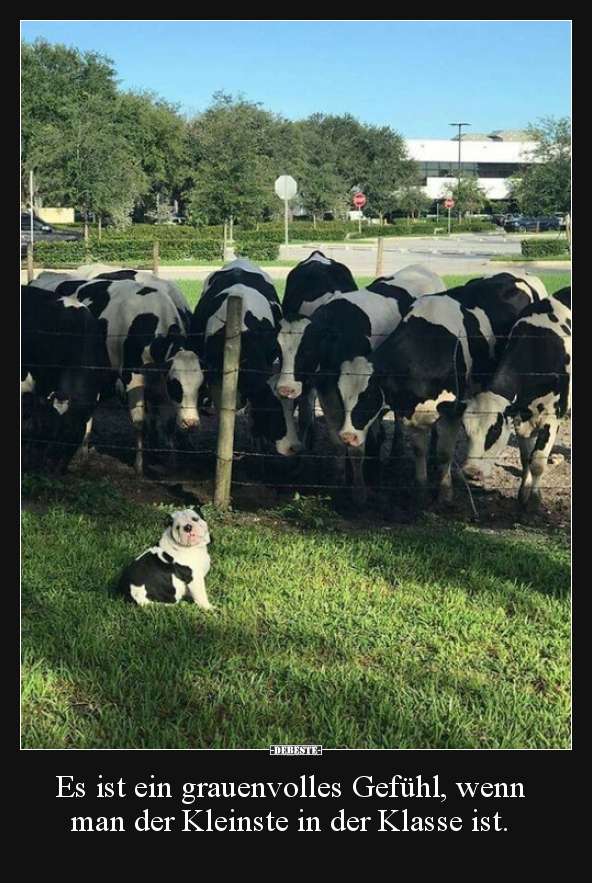 Es ist ein grauenvolles Gefühl, wenn man der Kleinste in..