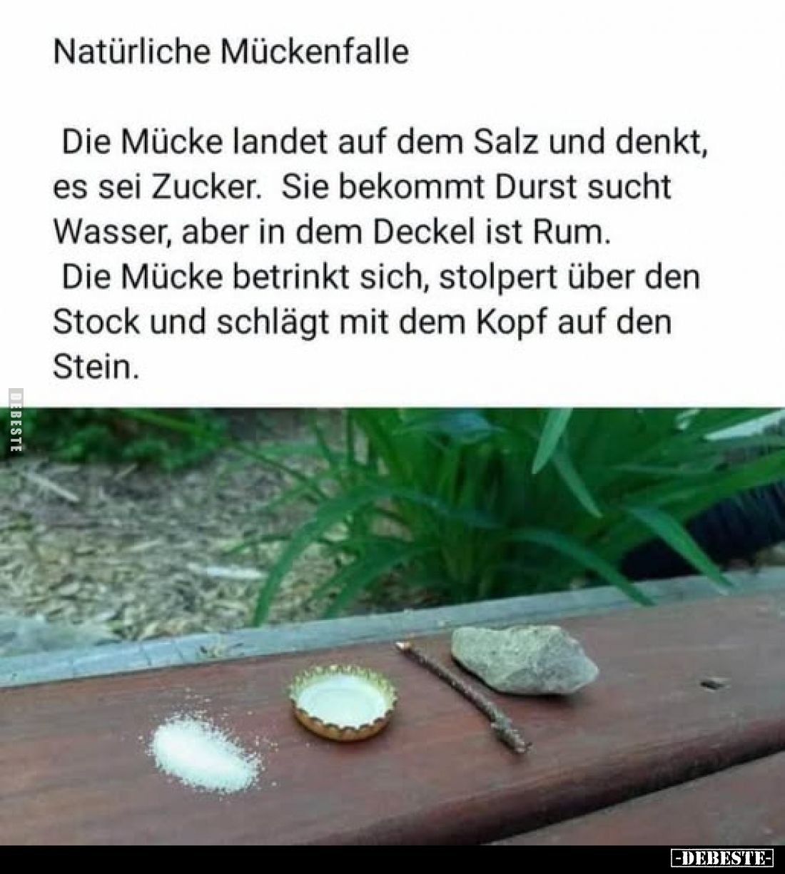 Natürliche Mückenfalle
-
Die Mücke landet auf dem Salz und denkt, es sei Zucker. Sie bekommt Durst sucht Wasser, aber in de...