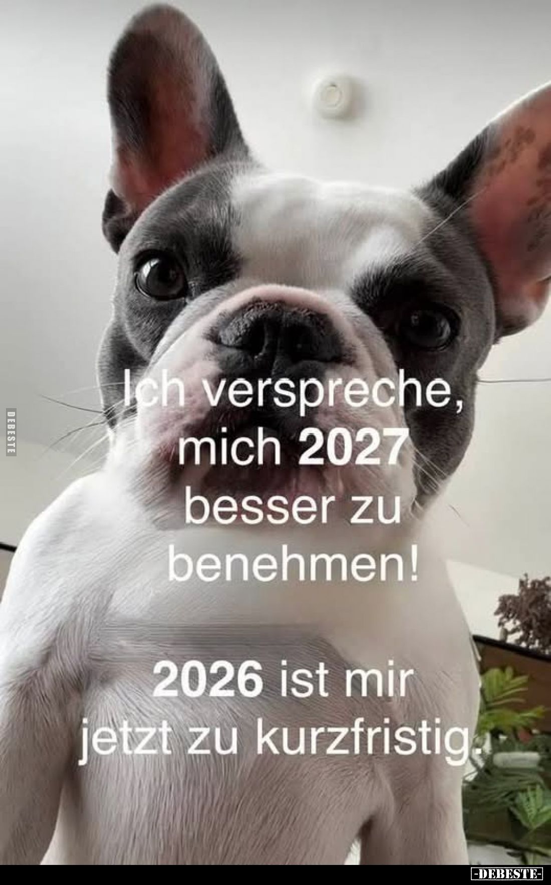 Ich verspreche, mich 2027 besser zu benehmen!
2026 ist mir jetzt zu kurzfristig