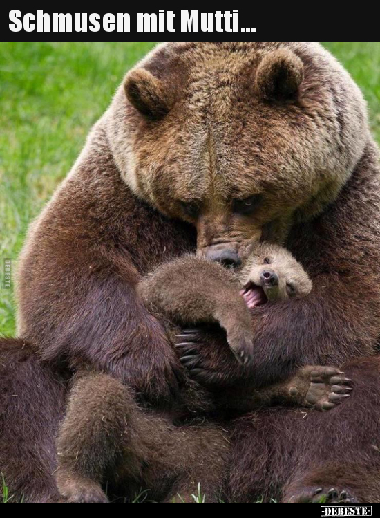 Schmusen mit Mutti... - Lustige Bilder | DEBESTE.de