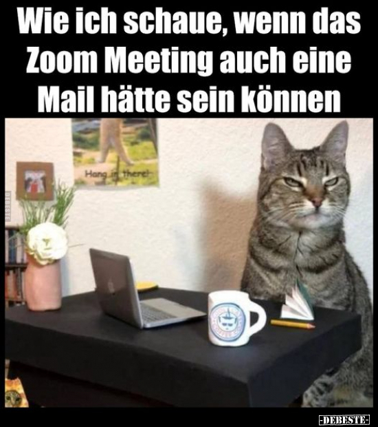 Wie ich schaue, wenn das Zoom Meeting auch eine Mail.. - Lustige Bilder | DEBESTE.de