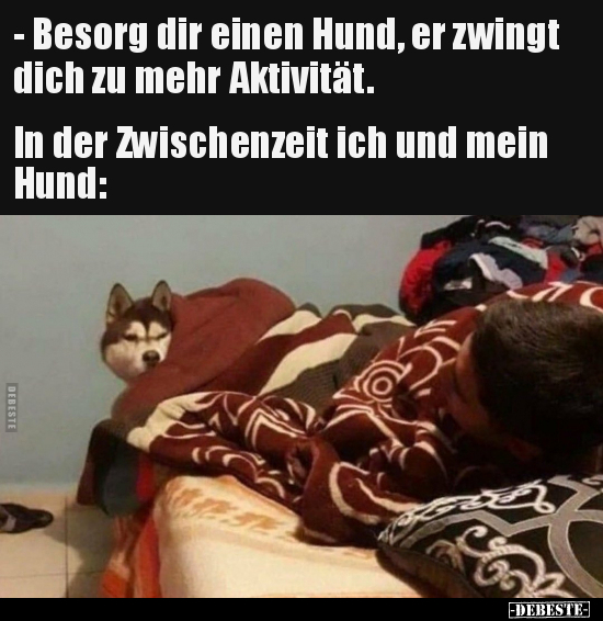 - Besorg dir einen Hund, er zwingt dich zu mehr Aktivität.
In der Zwischenzeit ich und mein Hund: