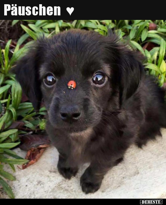 Päuschen ♥..