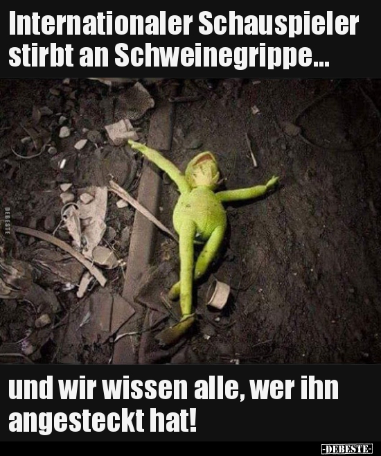 Wein, Grippe, Spiele, Schwein, Schweine