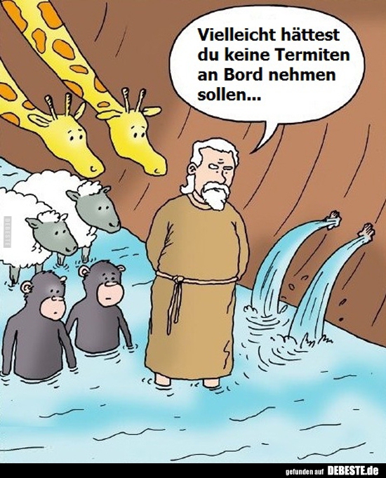 Vielleicht hättest du keine Termiten an Bord nehmen..