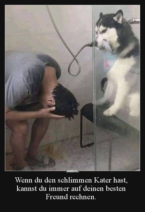 Wenn du den schlimmen Kater hast, kannst du immer auf..