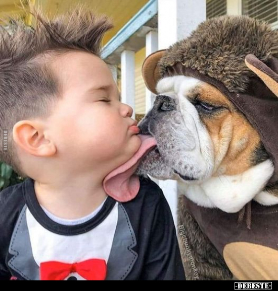  - Lustige Bilder | DEBESTE.de