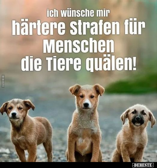 Ich wünsche mir härtere strafen für Menschen die Tiere.. - Lustige Bilder | DEBESTE.de