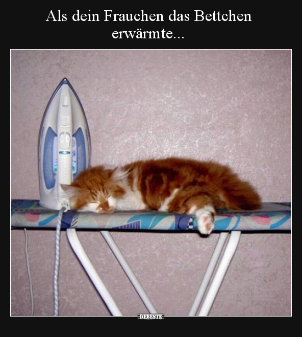Als dein Frauchen das Bettchen erwärmte...