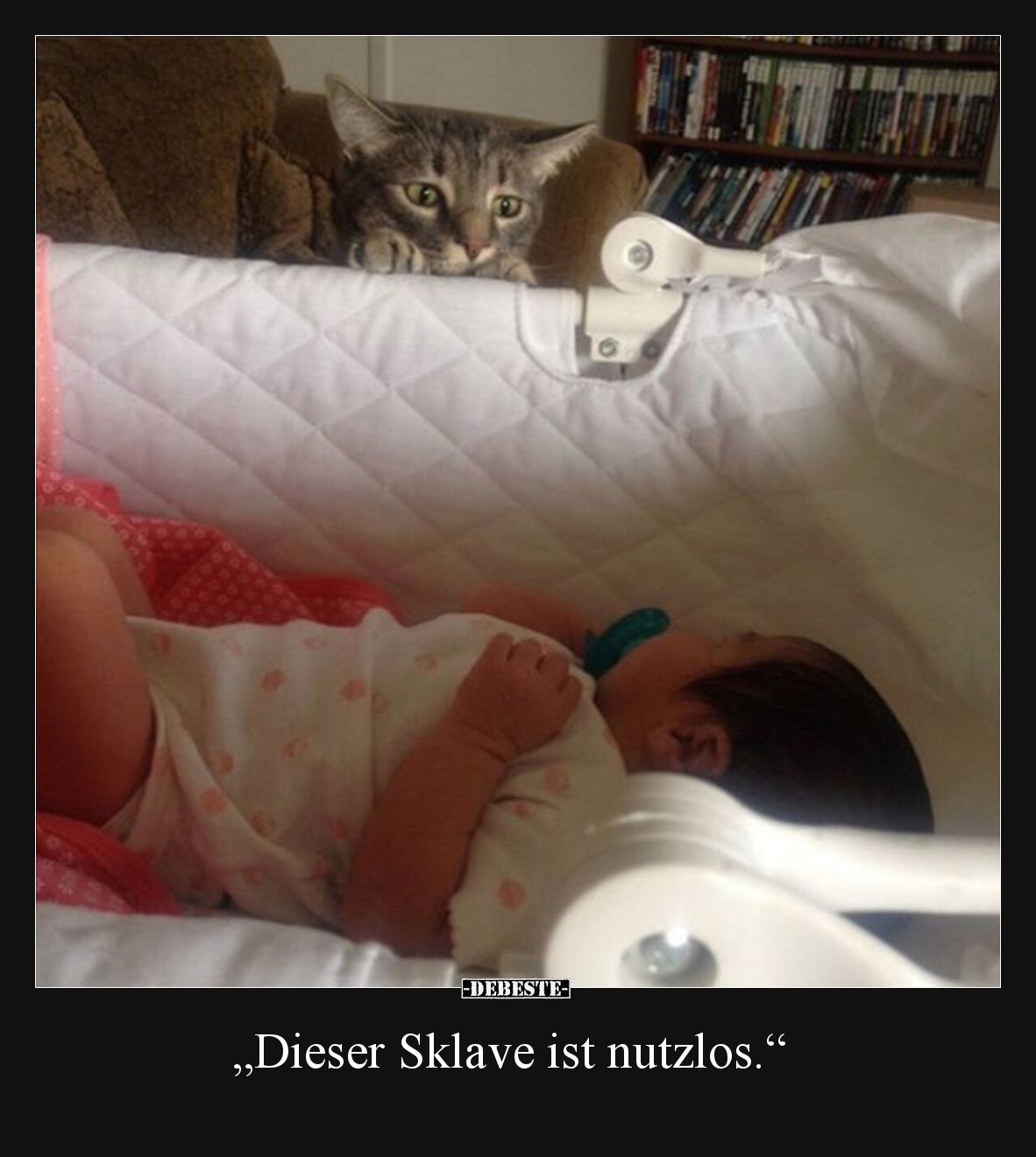 "Dieser Sklave ist nutzlos.".. - Lustige Bilder | DEBESTE.de