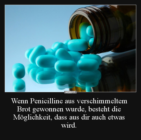 Wenn Penicilline aus verschimmeltem Brot gewonnen wurde.. - Lustige Bilder | DEBESTE.de