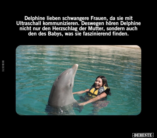 Delphine lieben schwangere Frauen.. - Lustige Bilder | DEBESTE.de