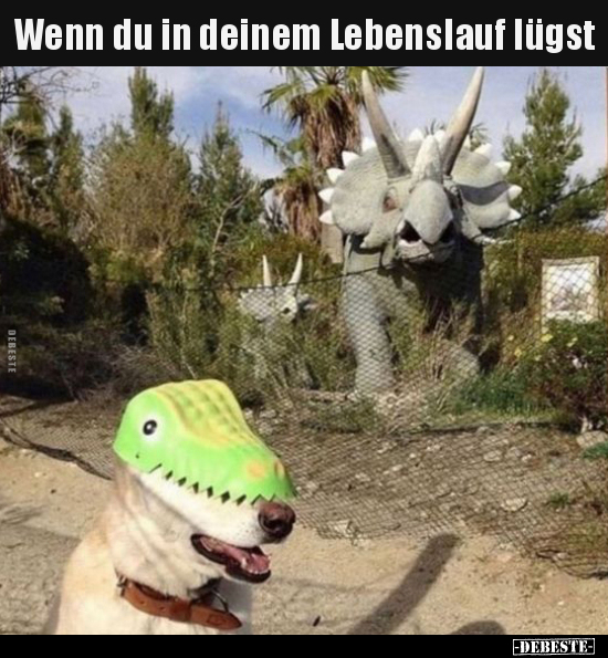 Wenn du in deinem Lebenslauf lügst