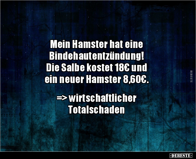 Mein Hamster hat eine Bindehautentzündung!... - Lustige Bilder | DEBESTE.de