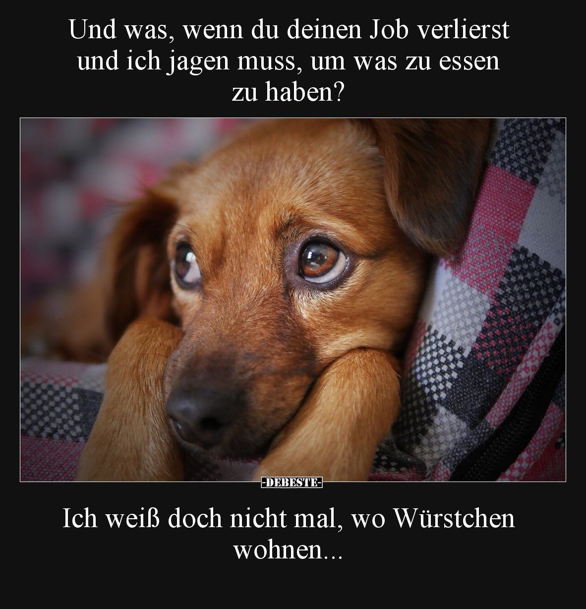 Und was, wenn du deinen Job verlierst und ich jagen muss.. - Lustige Bilder | DEBESTE.de